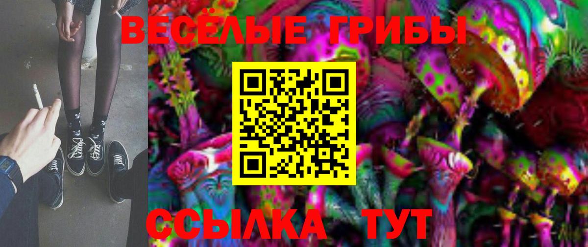 Похвистнево  Галлюциногенные грибы мухоморы  Вход с VPN  Псилоцибиновые грибы GOLDEN TEACHER 